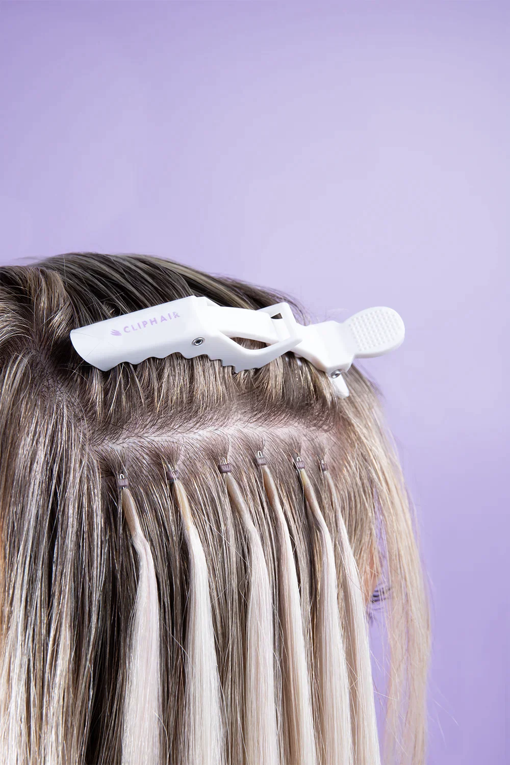 Alligator Clips - Image 3